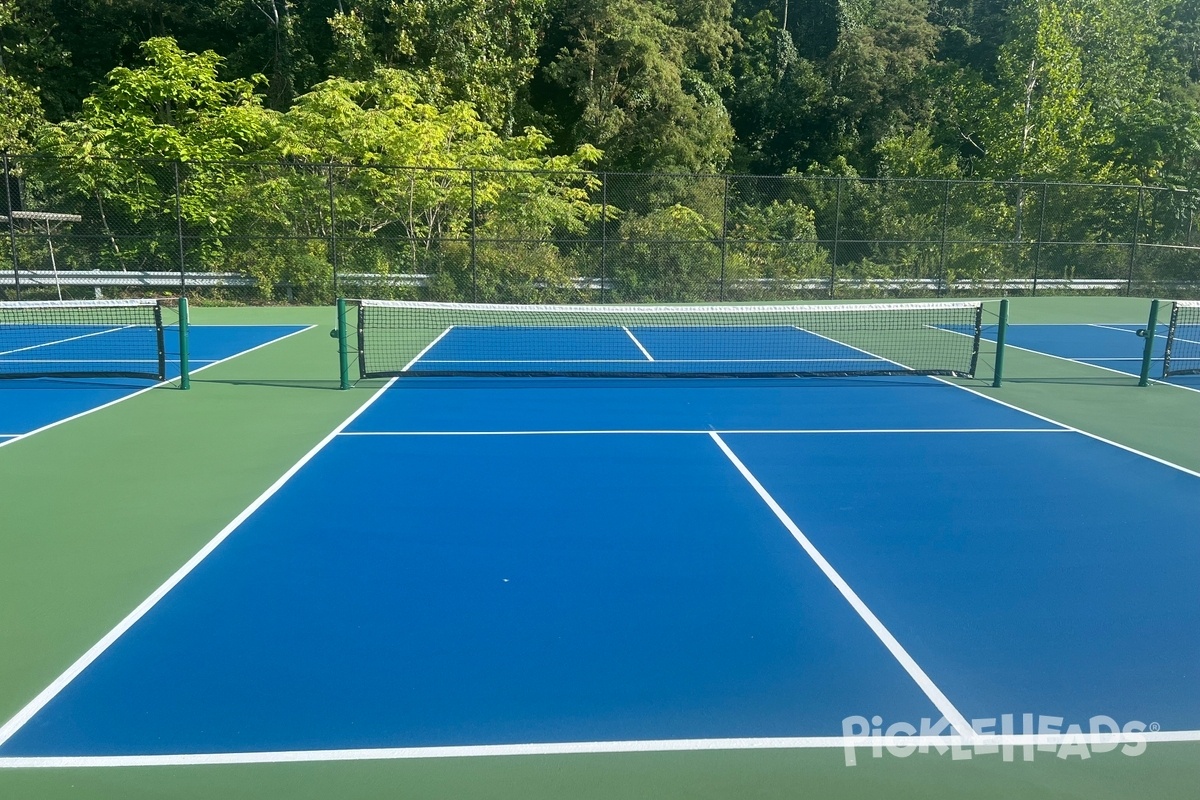 Photo of Pickleball at Alpha Tennis and Fitness